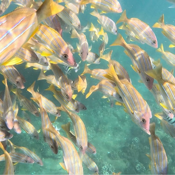 Meet your Posher, Larry - Picture 9 of 12